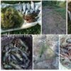 Чернігівським рибоохоронним патрулем за тиждень викрито 20 порушень Правил рибальства
