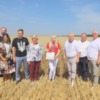 Зафіксовано новий рекорд врожайності пшениці