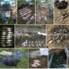 Чернігівським рибоохоронним патрулем протягом вересня зафіксовано 129 порушень Правил рибальства