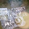 Чернігівським рибоохоронним патрулем викрито браконьєрів, які завдали збитків у розмірі понад 7 тис грн