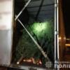На Ріпкинщині поліція затримала транспорт з незаконно добутими соснами