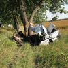 У ДТП на Чернігівщині загинуло троє людей
