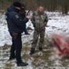 Поліція затримала особу, яка вбила червонокнижну лосиху