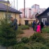 Лісівники Чернігівщини реалізували 24 тисячі новорічних дерев