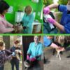 Кількість щеплень тварин проти сказу, зроблених у Чернігівській державній міській лікарні ветмедицини в минулому році, збільшилась майже на чотири сотні