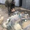 Чернігівським рибоохоронним патрулем знищено понад два кілометри сіток