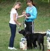 У Чернігові пройшов перший регіональний чемпіонат по новому виду спорту для собак і їхніх господарів - DOG PULLER