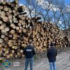 На Чернігівщині СБУ викрила корупційну схему збагачення чиновників одного із комунальних лісгоспів