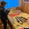 Поліція Чернігівщини розслідує обставини жорстокого поводження з твариною у Куликівській громаді