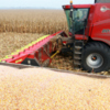 Рекордний врожай: на Чернігівщині зібрали майже 6,3 мільйона тонн зернових