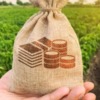 30 мільйонів на «Борщ», - уродженець Чернігівщини постачає прикордонню безкоштовне насіння