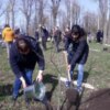 У Кропивницькому посадили дуби на честь мiст-героїв
