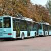 Два додаткові тролейбусні маршрути почнуть працювати у місті з 8 червня