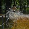 Пляжний сезон-2022 у Чернігові: купатися у водоймах міста заборонено