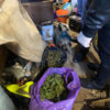 У Чернігові поліцейські викрили двох місцевих мешканців у незаконному зберіганні наркотичних засобів