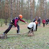 Осінь на Чернігівщині видалася спортивною