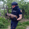 На Чернігівщині сапери ДСНС вилучили 6 вибухонебезпечних предметів