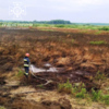 Чернігівська область: за минулу добу рятувальники ліквідували 6 пожеж в природних екосистемах