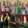 Чернігівські гімнастки успішно виступили на всеукраїнських змаганнях