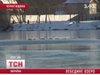 На Чернігівщині знайшли справжнє лебедине озеро	