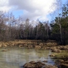 2 лютого - Всесвітній день водно-болотних угідь