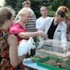 40 тисяч школярів Чернігівщини охоплені позашкільною освітою