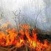 Чернігівська область: через необережне поводження з вогнем за добу сталася 3 пожежі