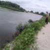 Куликівський район: у річці Десна потонув 4-річний хлопчик