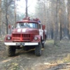 Козелецький район: ліквідовано пожежу в лісі. ВІДЕО