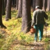 Бобровицький район: знайдено грибника, що заблукав у лісі