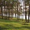 Природоохоронні заходи на території Чернігівської області