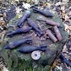 Чернігівська область: шукачі металобрухту знайшли п’ять снарядів