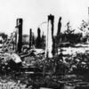 Найбільше в Європі поселення, знищене нацистами під час каральної операції, — українська Корюківка