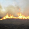 Протягом вихідних вогнеборці ліквідували 31 пожежу, спричинену спалюванням сміття та залишків сухої рослинності